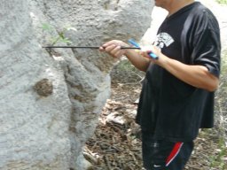 223149_10150272283819901_805984_n